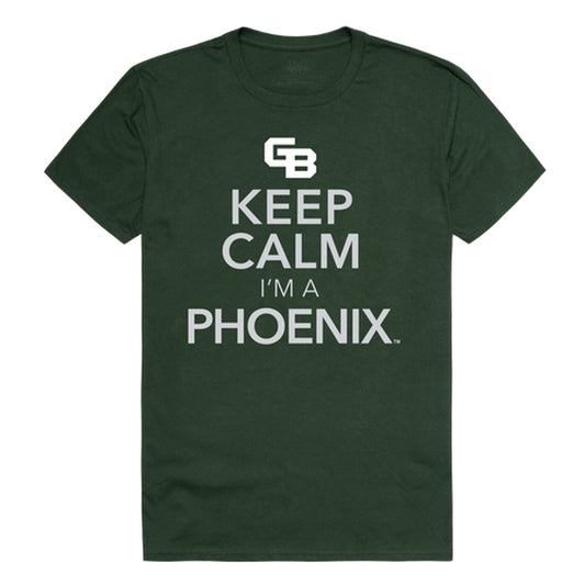 University of Wisconsin-Green Bay Phoenix Keep Calm Tee T-Shirt