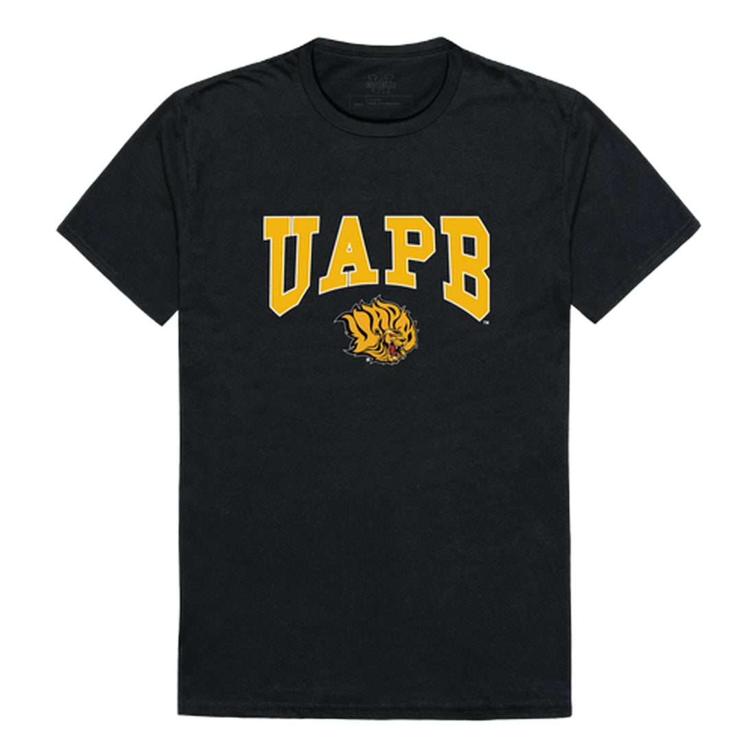 University of Arkansas at Pine Bluff Golden Lions Athletic Tee T-Shirt