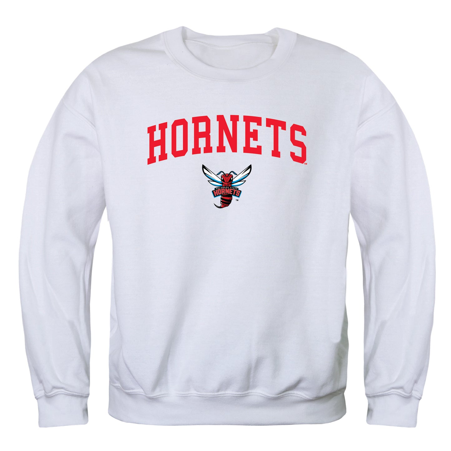 Delaware State University Hornets Campus Crewneck Pullover Sweatshirt Sweate