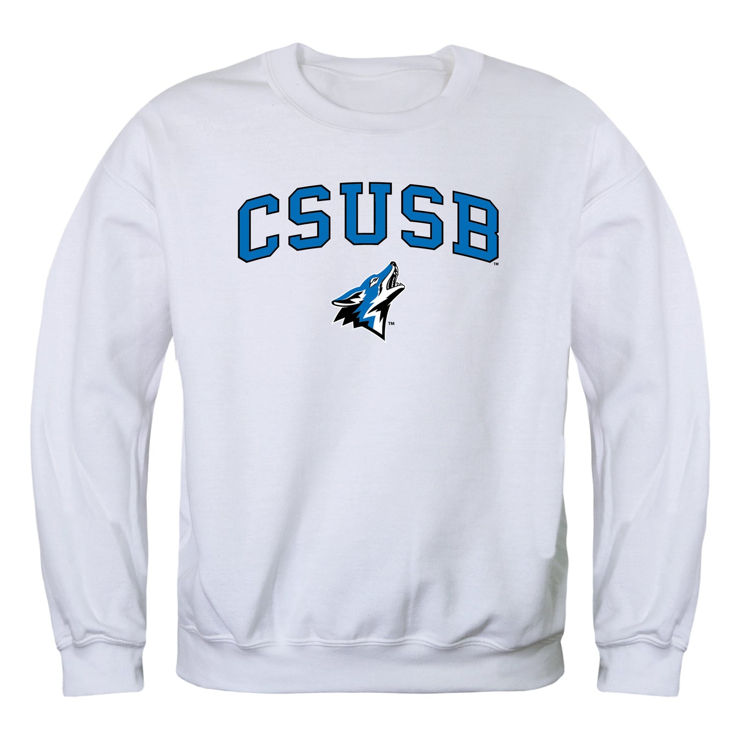 California State University San Bernardino Campus Crewneck Pullover Sweatshirt Sweate