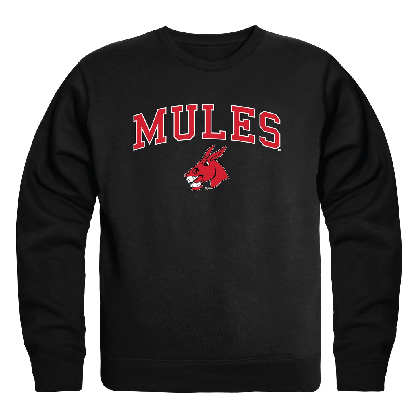 University of Central Missouri Mules Campus Crewneck Pullover Sweatshirt Sweate