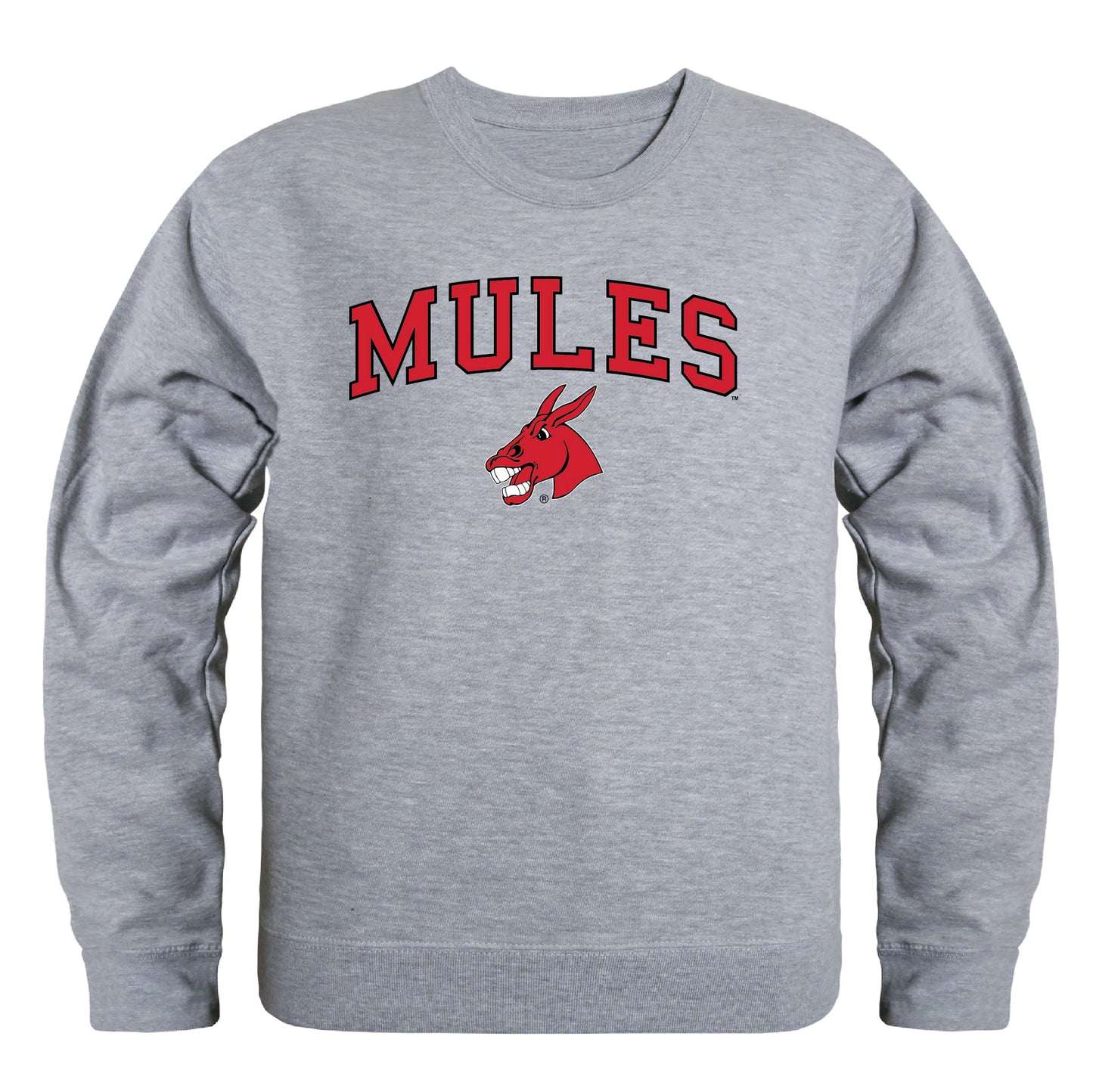 University of Central Missouri Mules Campus Crewneck Pullover Sweatshirt Sweate