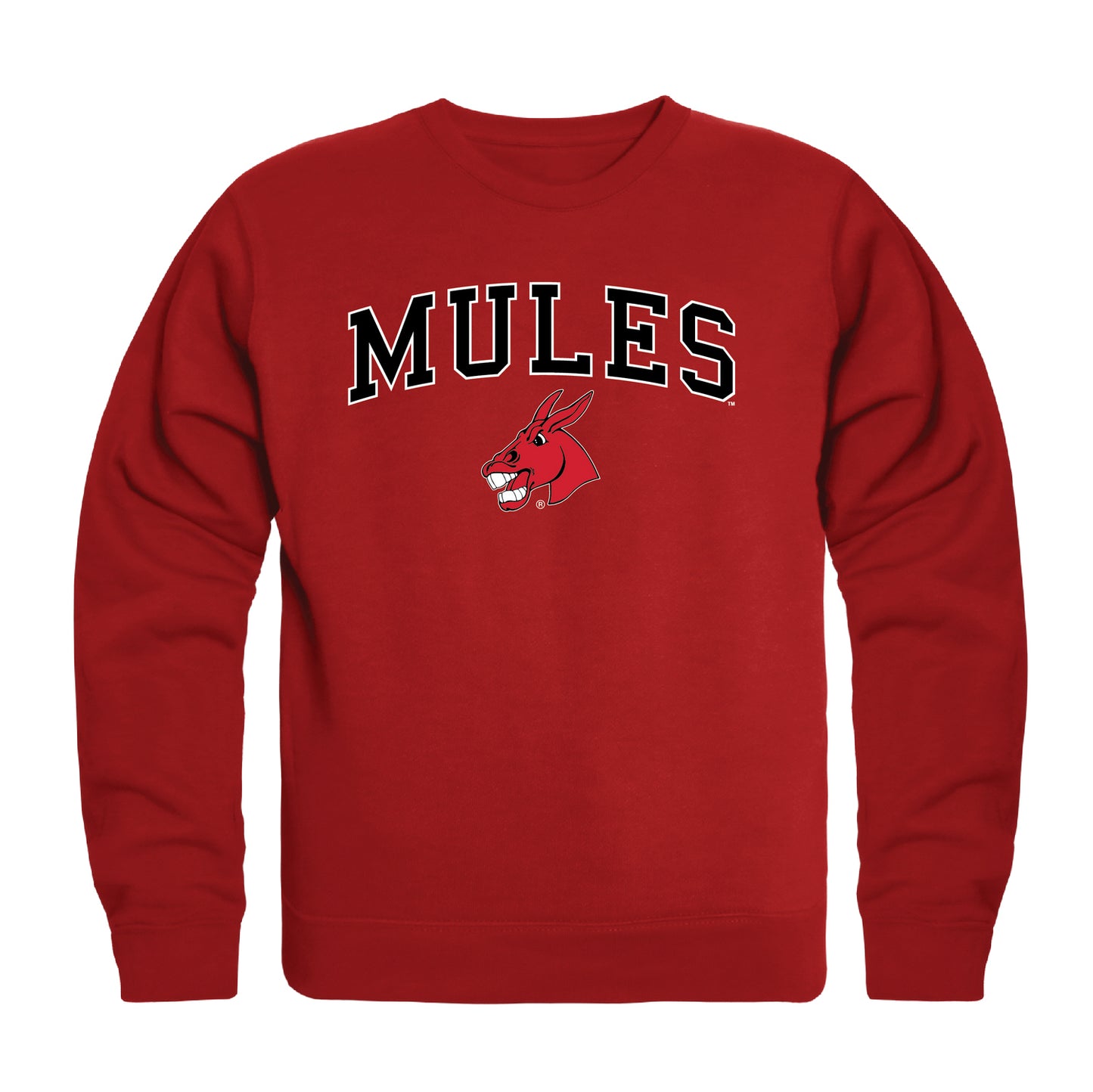 University of Central Missouri Mules Campus Crewneck Pullover Sweatshirt Sweate