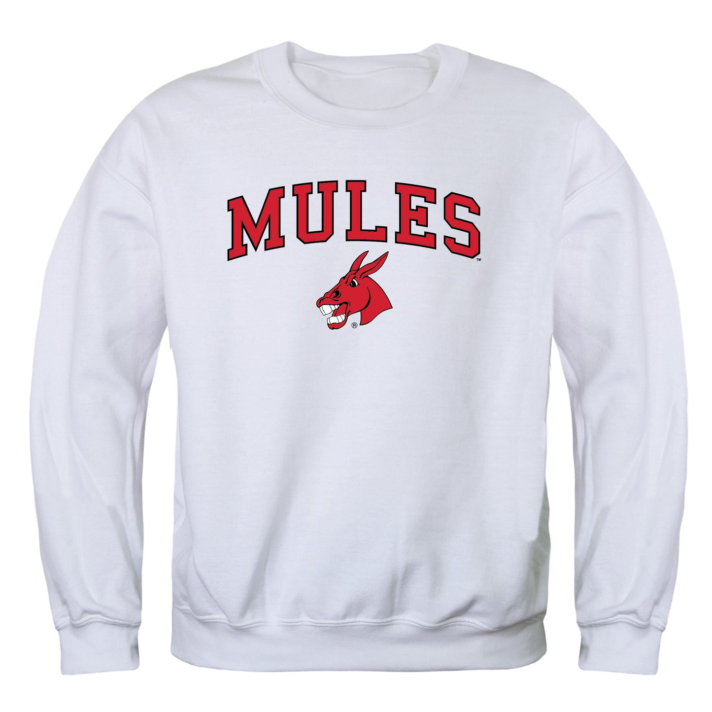 University of Central Missouri Mules Campus Crewneck Pullover Sweatshirt Sweate