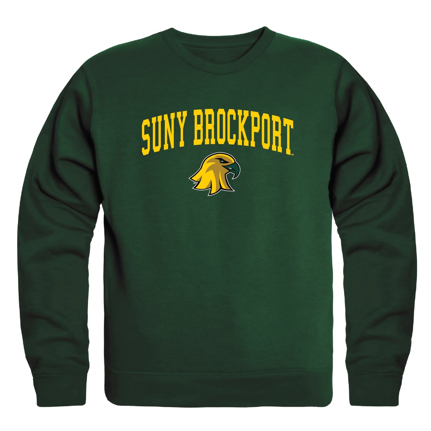 SUNY College at Brockport Golden Eagles Campus Crewneck Pullover Sweatshirt Sweate