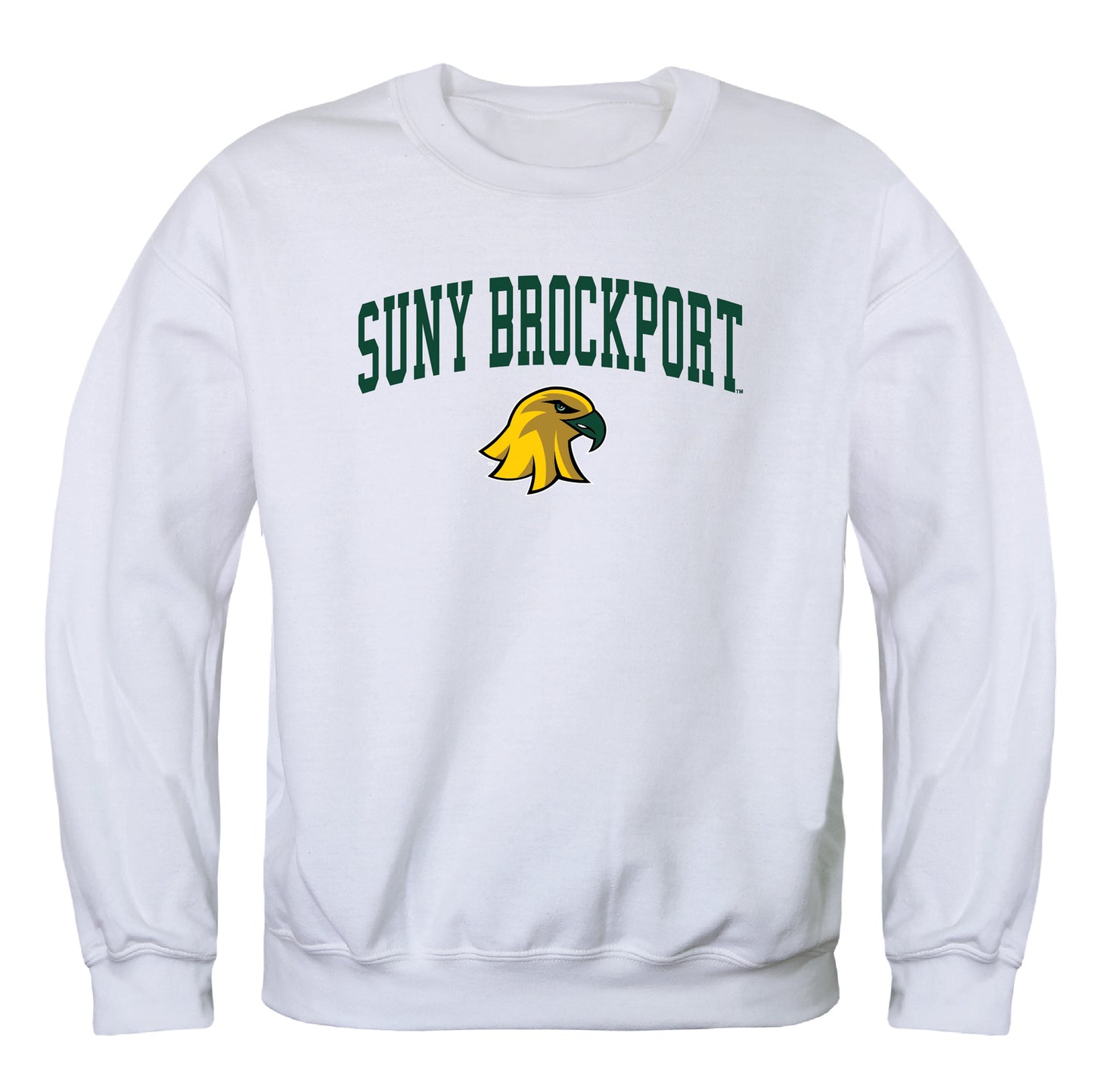 SUNY College at Brockport Golden Eagles Campus Crewneck Pullover Sweatshirt Sweate