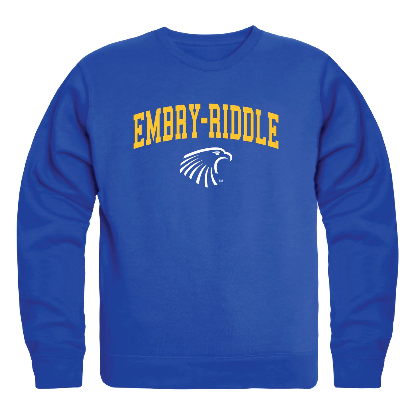 ERAU Embry–Riddle Aeronautical University Eagles Campus Crewneck Pullover Sweatshirt Sweate