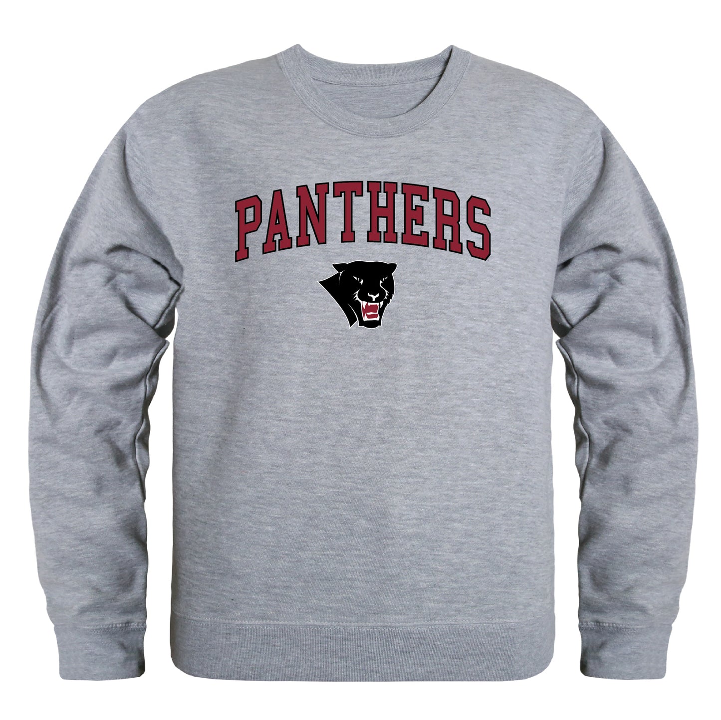 Florida Institute of Technology Panthers Campus Crewneck Pullover Sweatshirt Sweate