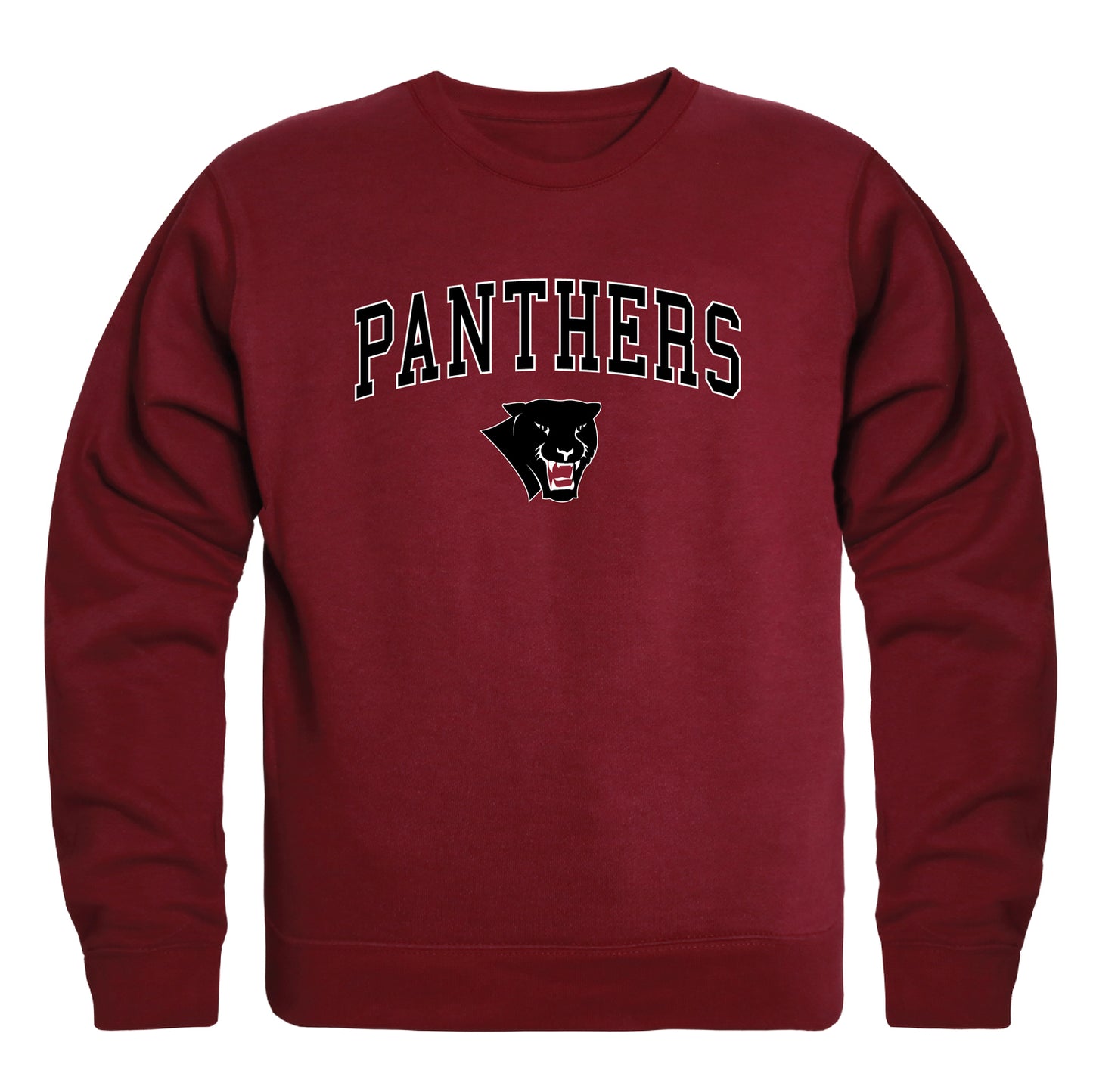 Florida Institute of Technology Panthers Campus Crewneck Pullover Sweatshirt Sweate