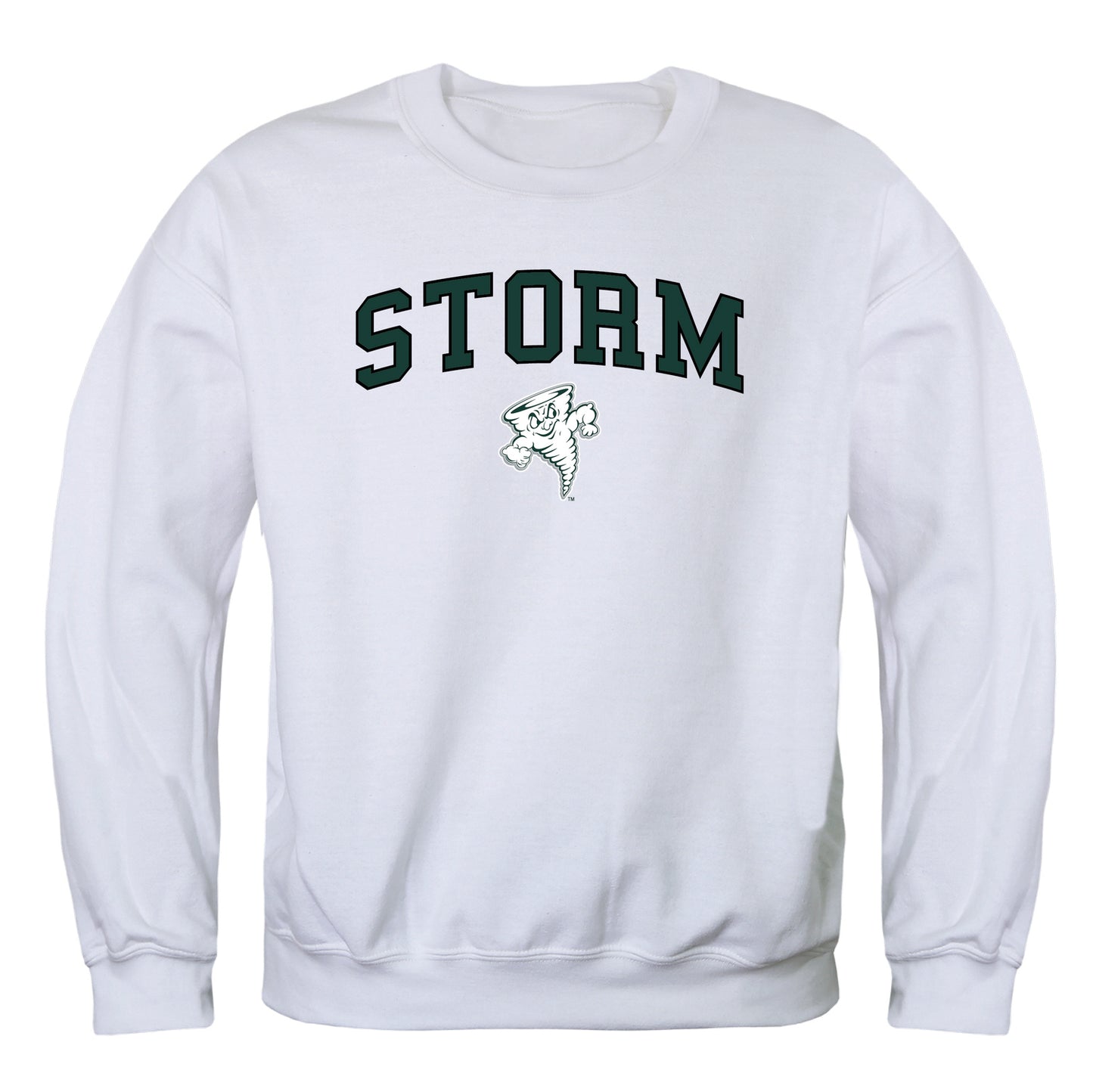 Lake Erie College Storm Campus Crewneck Pullover Sweatshirt Sweate