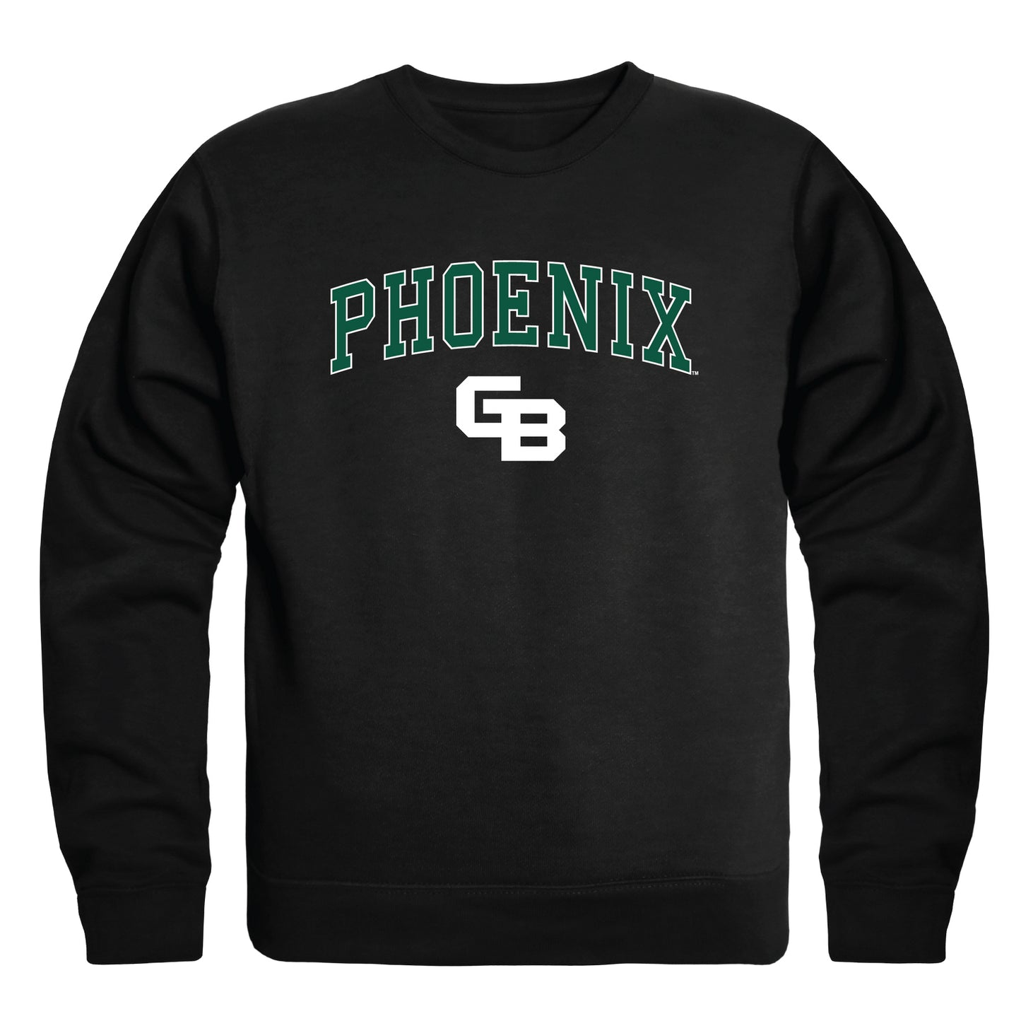 University of Wisconsin-Green Bay Phoenix Campus Crewneck Pullover Sweatshirt Sweate