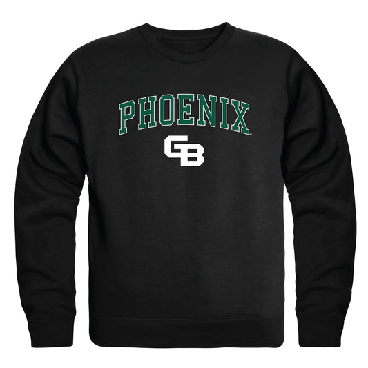 University of Wisconsin-Green Bay Phoenix Campus Crewneck Pullover Sweatshirt Sweate