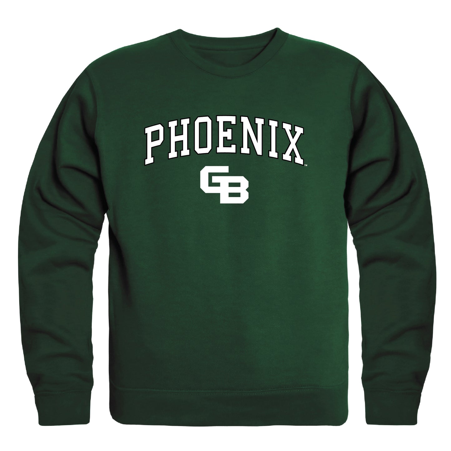 University of Wisconsin-Green Bay Phoenix Campus Crewneck Pullover Sweatshirt Sweate