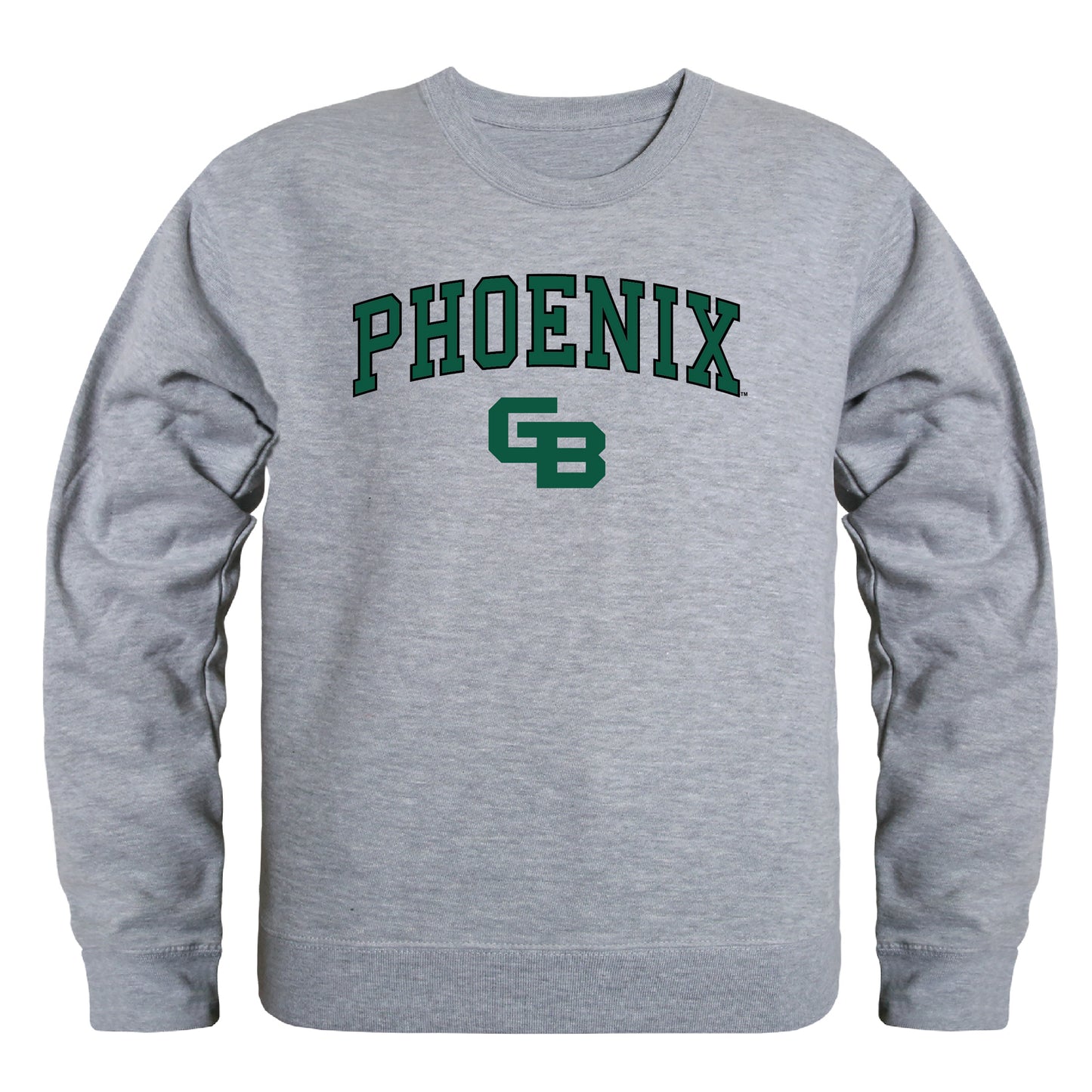 University of Wisconsin-Green Bay Phoenix Campus Crewneck Pullover Sweatshirt Sweate