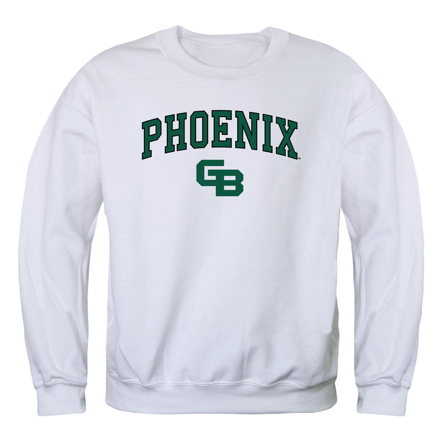 University of Wisconsin-Green Bay Phoenix Campus Crewneck Pullover Sweatshirt Sweate