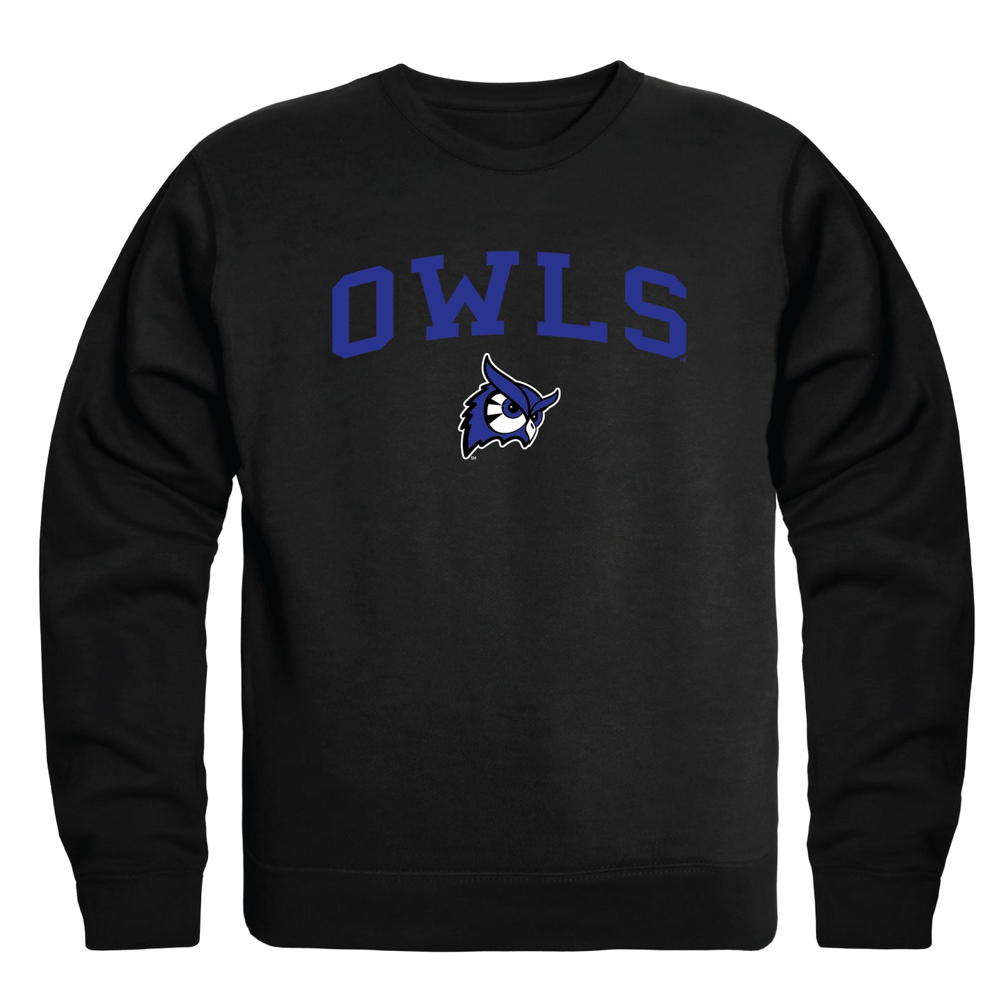 Westfield State University Owls Campus Crewneck Pullover Sweatshirt Sweate