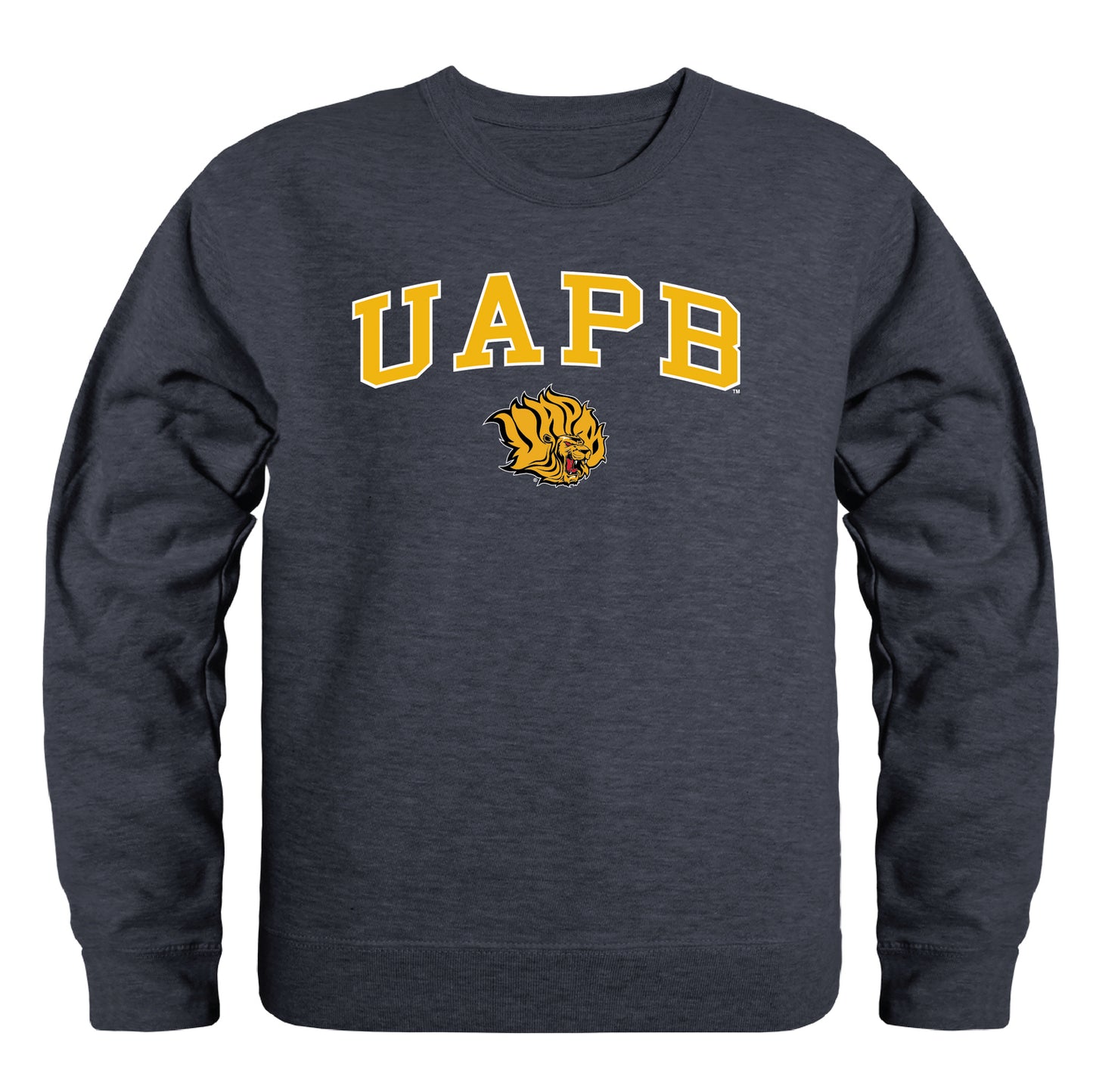 University of Arkansas at Pine Bluff Golden Lions Campus Crewneck Pullover Sweatshirt Sweate