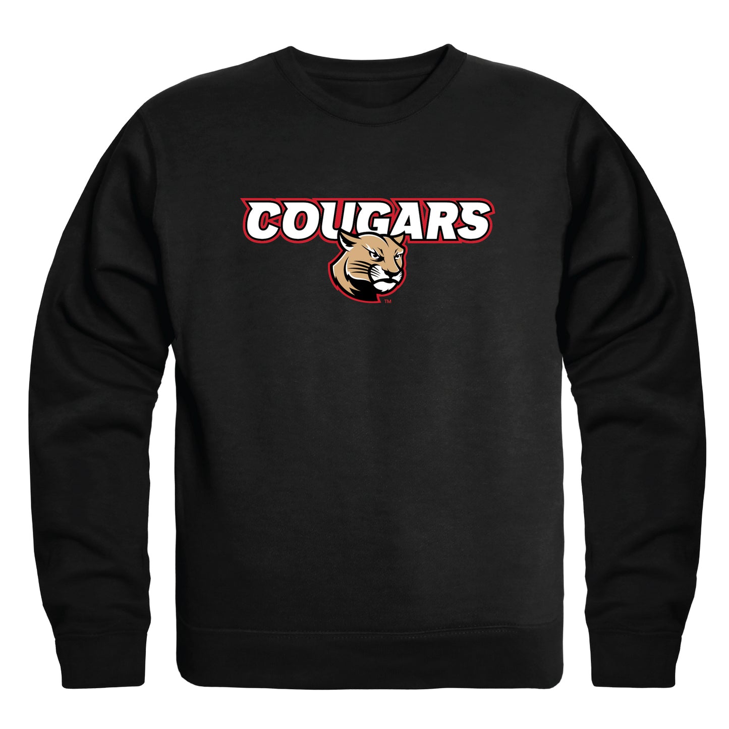 SIUE Southern Illinois University Edwardsville Cougars Campus Crewneck Pullover Sweatshirt Sweate