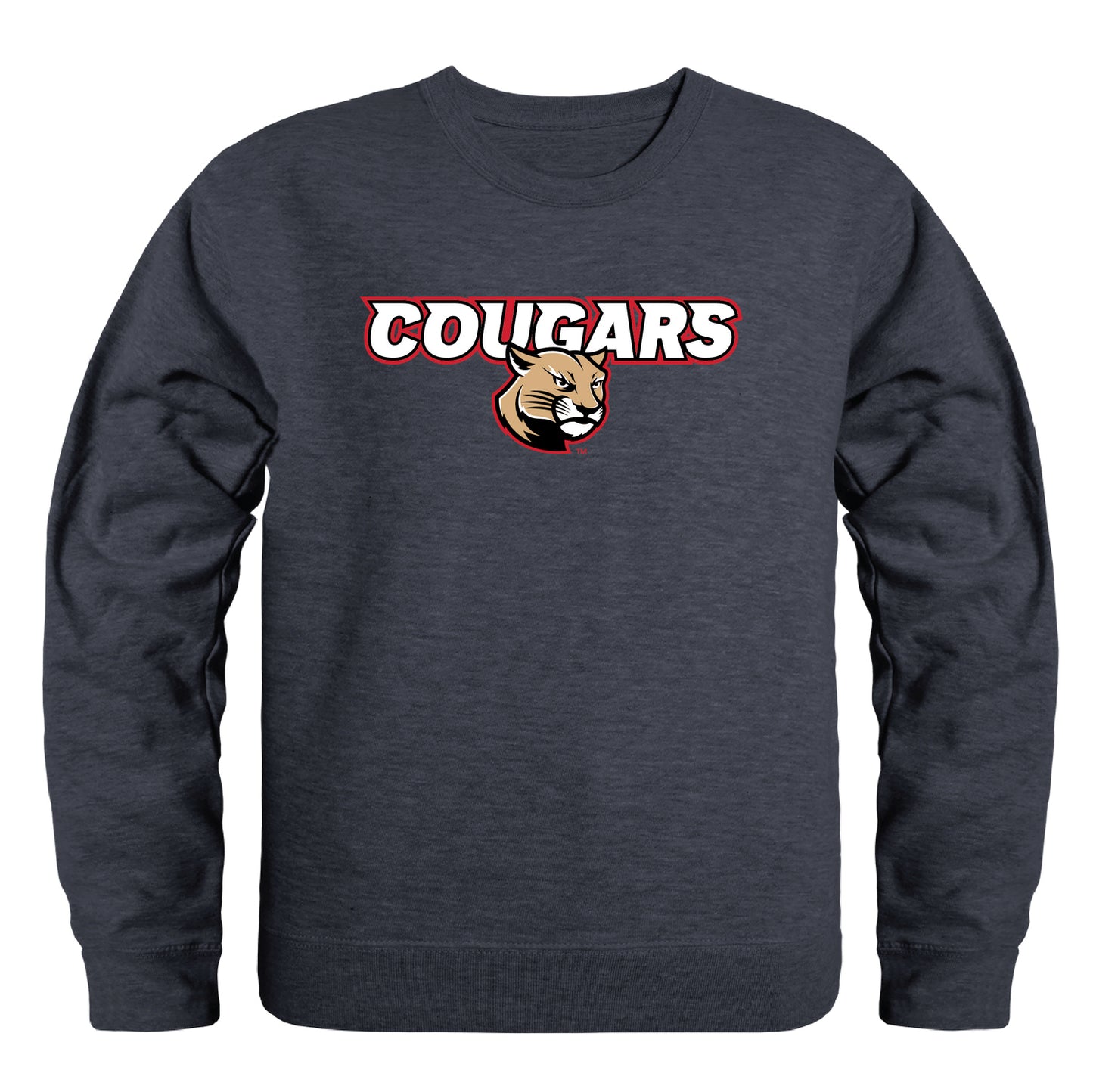 SIUE Southern Illinois University Edwardsville Cougars Campus Crewneck Pullover Sweatshirt Sweate