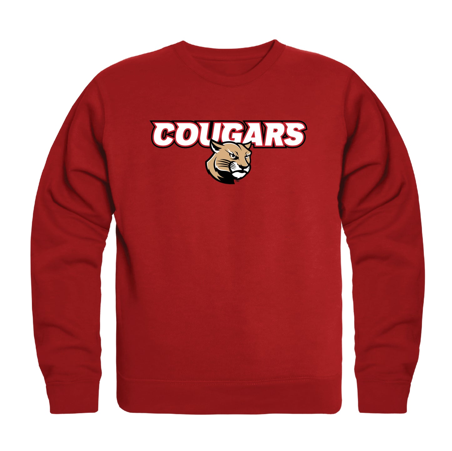 SIUE Southern Illinois University Edwardsville Cougars Campus Crewneck Pullover Sweatshirt Sweate