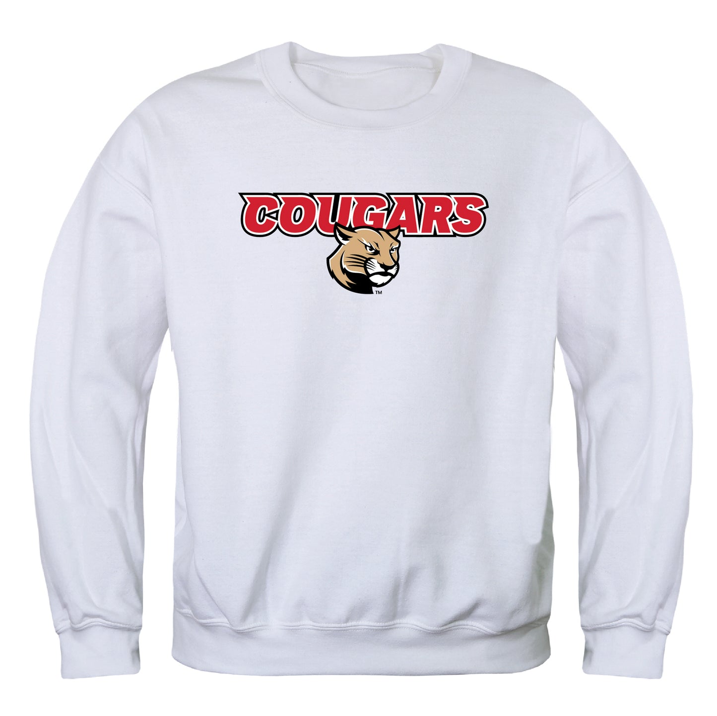 SIUE Southern Illinois University Edwardsville Cougars Campus Crewneck Pullover Sweatshirt Sweate