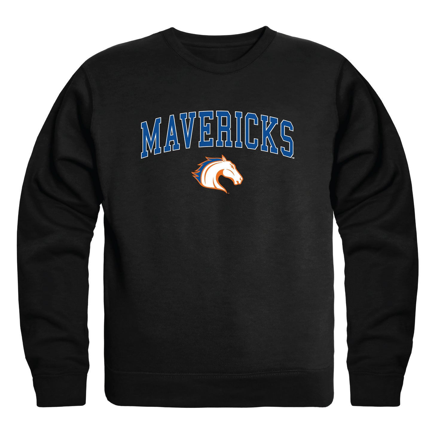 University of Texas at Arlington Mavericks Campus Crewneck Pullover Sweatshirt Sweate