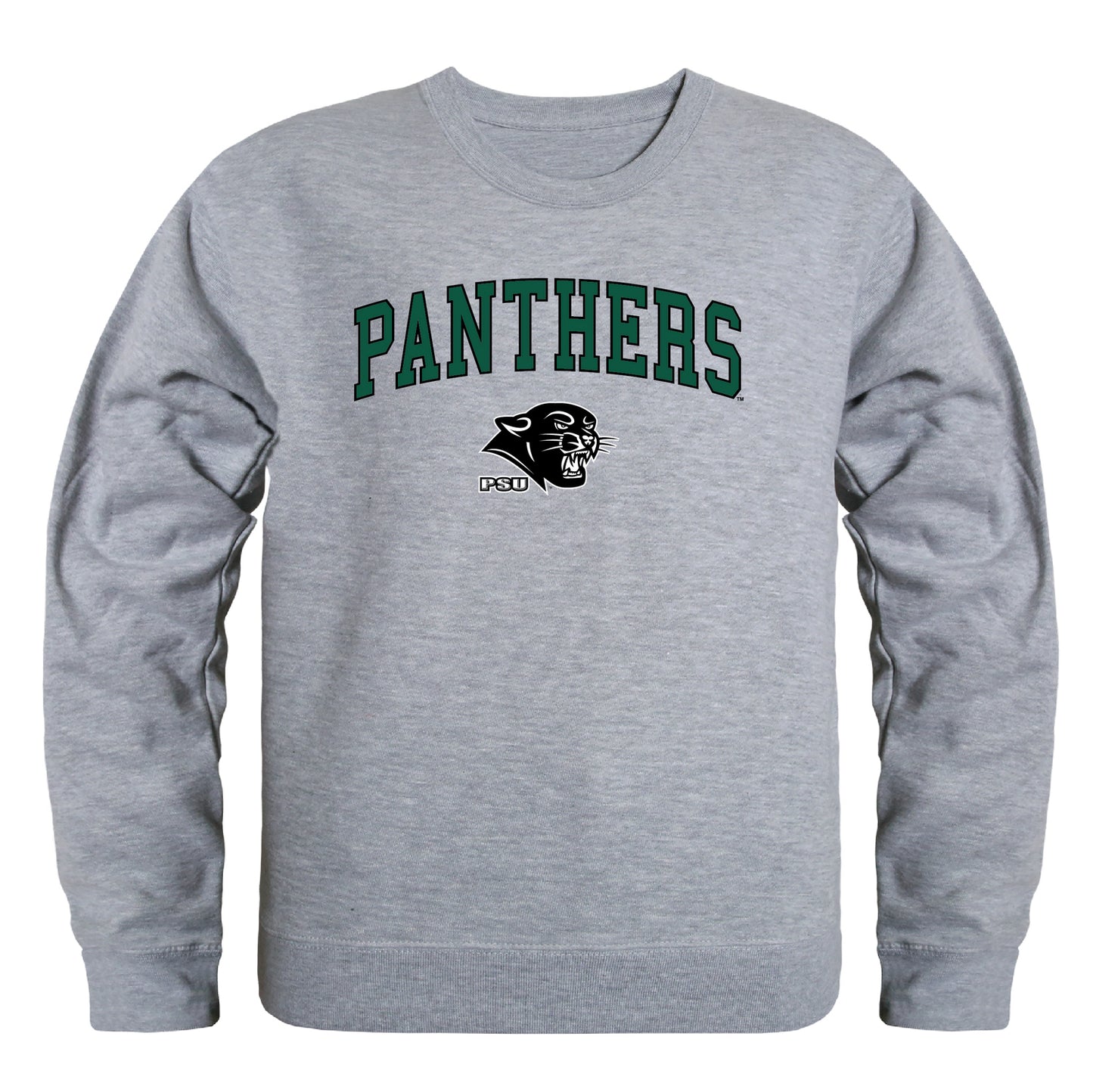 Plymouth State University Campus Crewneck Pullover Sweatshirt Sweate