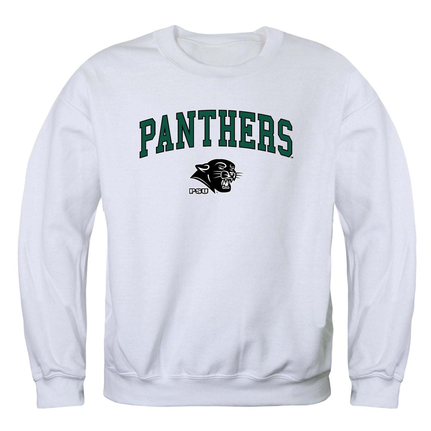 Plymouth State University Campus Crewneck Pullover Sweatshirt Sweate