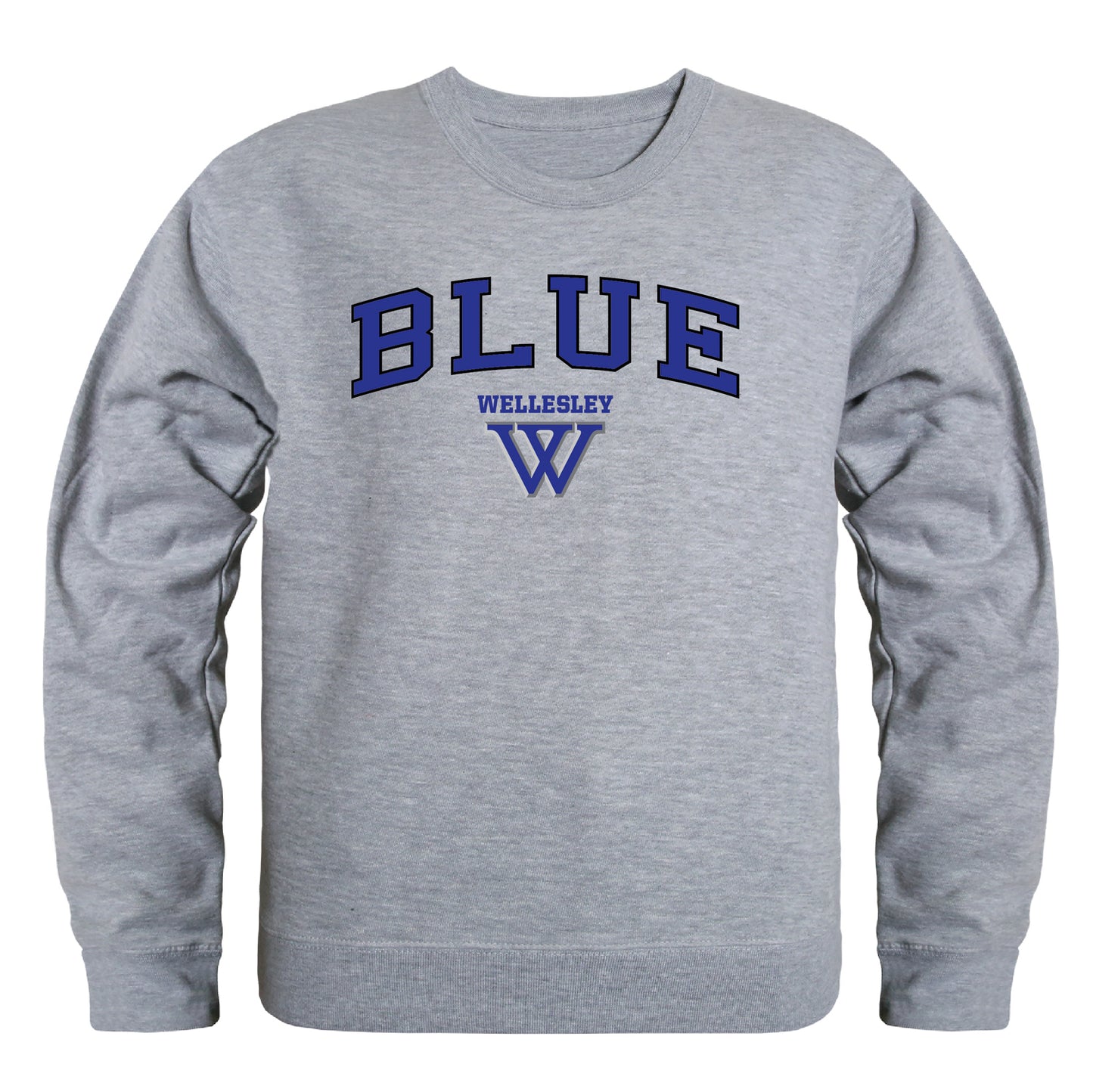 Wellesley College Blue Campus Crewneck Pullover Sweatshirt Sweate