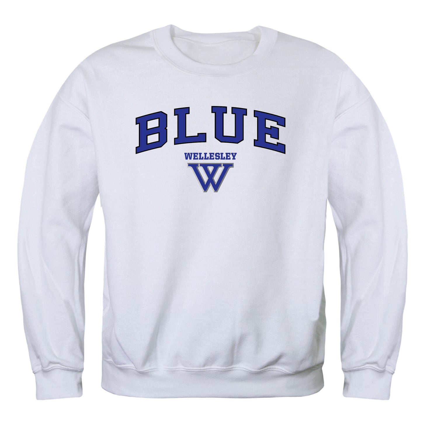 Wellesley College Blue Campus Crewneck Pullover Sweatshirt Sweate