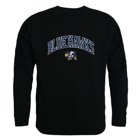 Dickinson State University Blue Hawks Campus Crewneck Pullover Sweatshirt Sweate