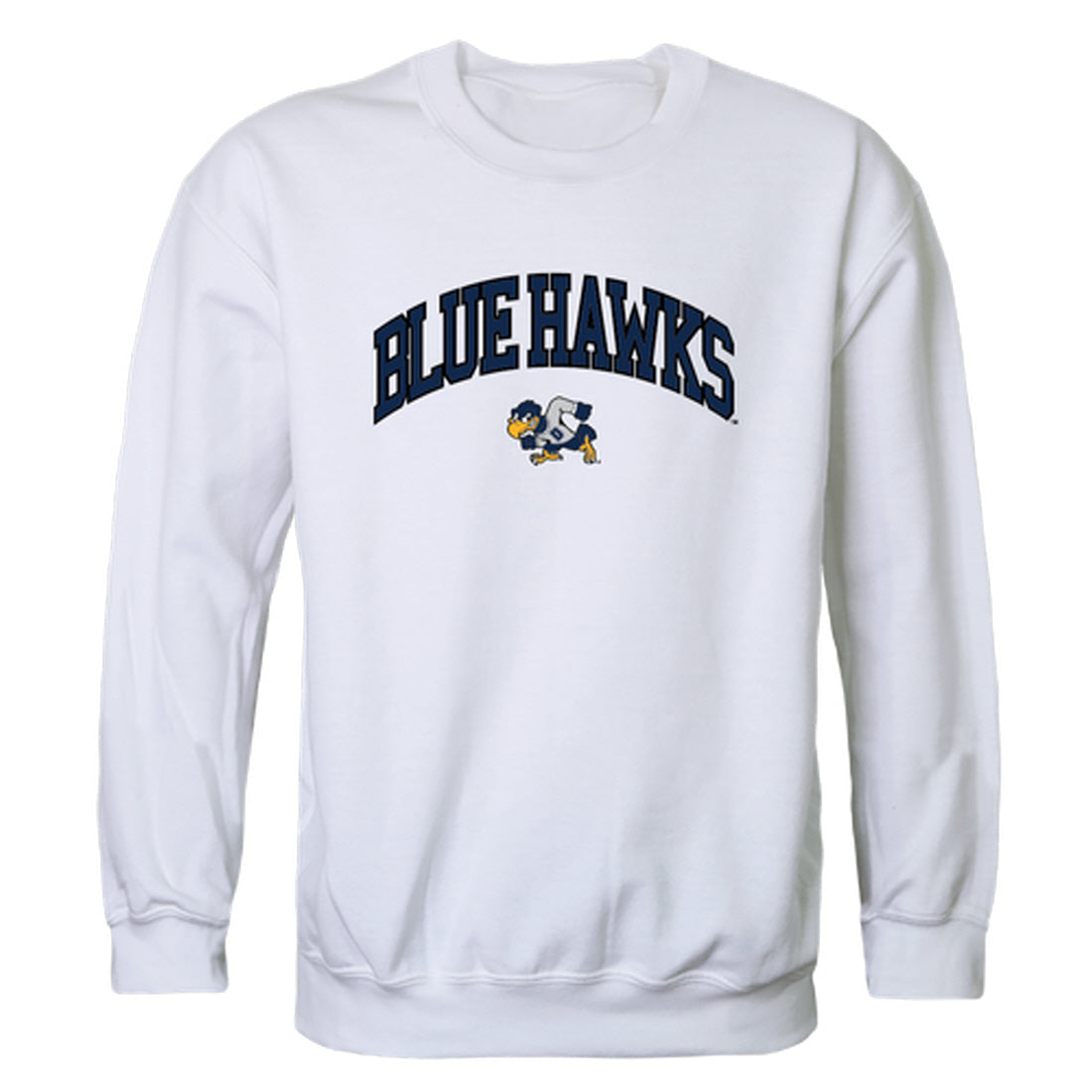 Dickinson State University Blue Hawks Campus Crewneck Pullover Sweatshirt Sweate