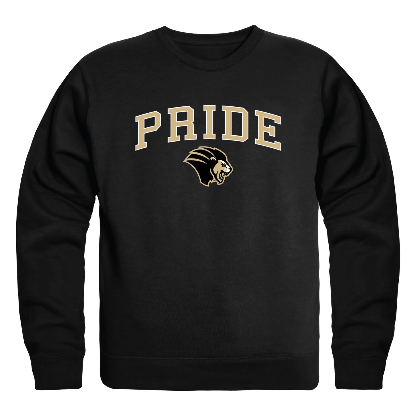 Purdue University Northwest Lion Campus Crewneck Pullover Sweatshirt Sweater