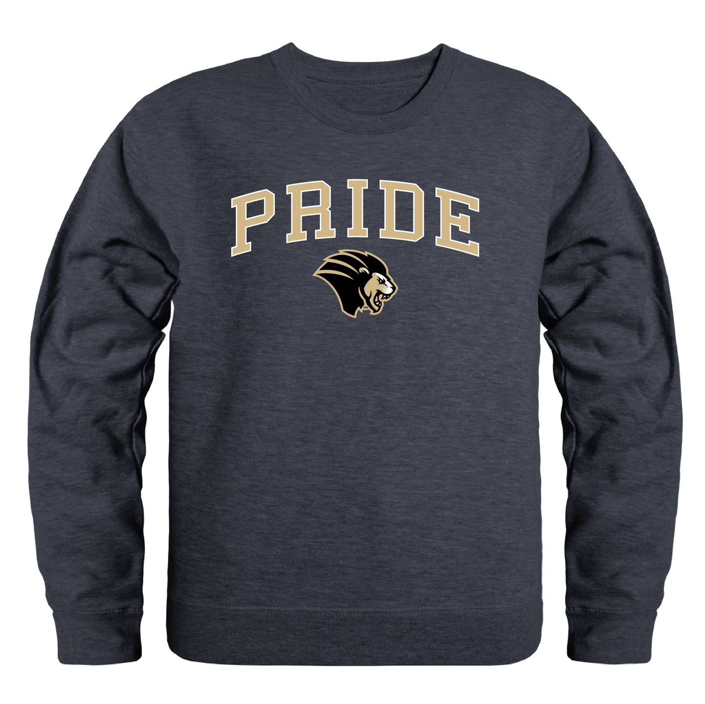 Purdue University Northwest Lion Campus Crewneck Pullover Sweatshirt Sweater