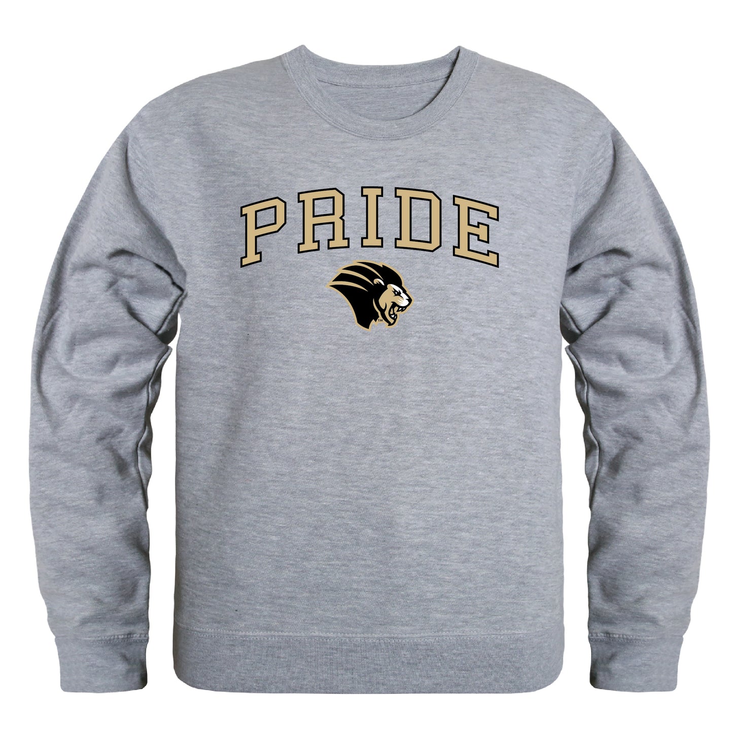 Purdue University Northwest Lion Campus Crewneck Pullover Sweatshirt Sweater