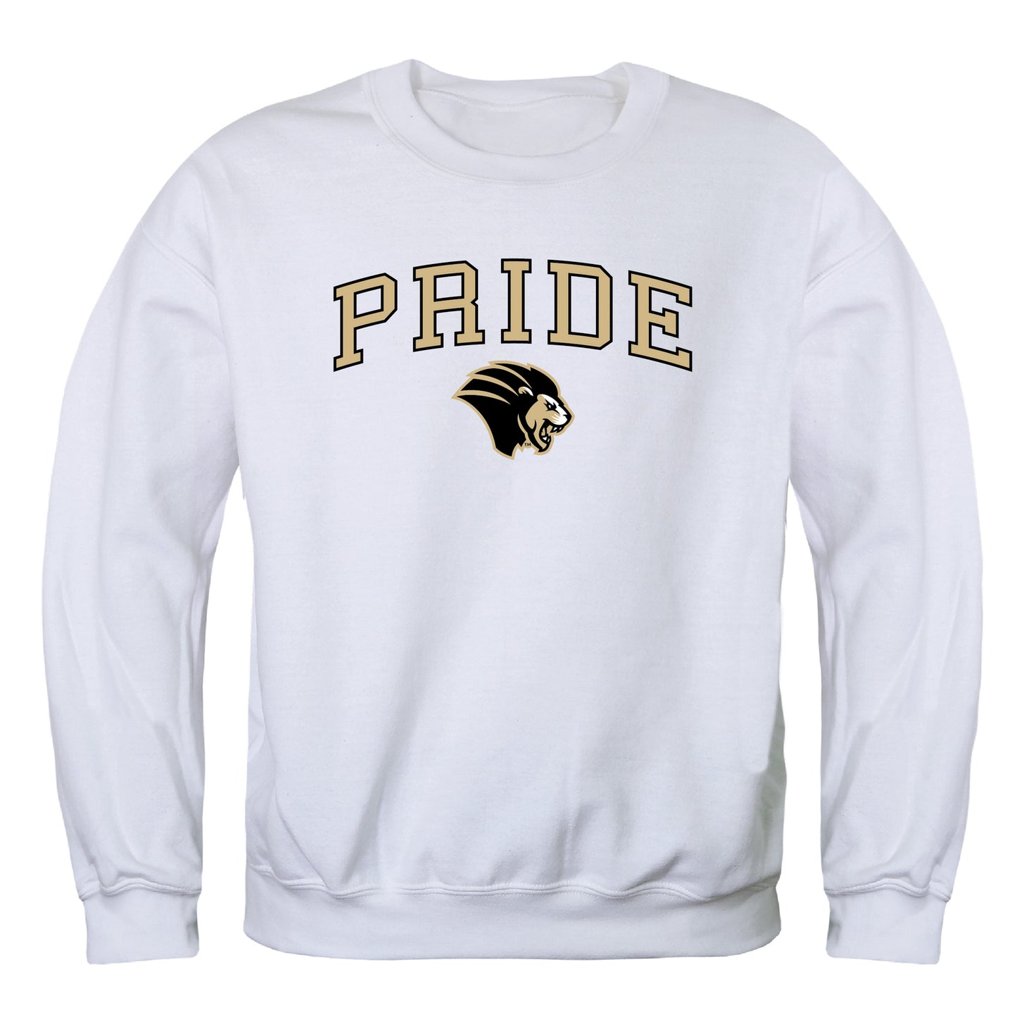 Purdue University Northwest Lion Campus Crewneck Pullover Sweatshirt Sweater