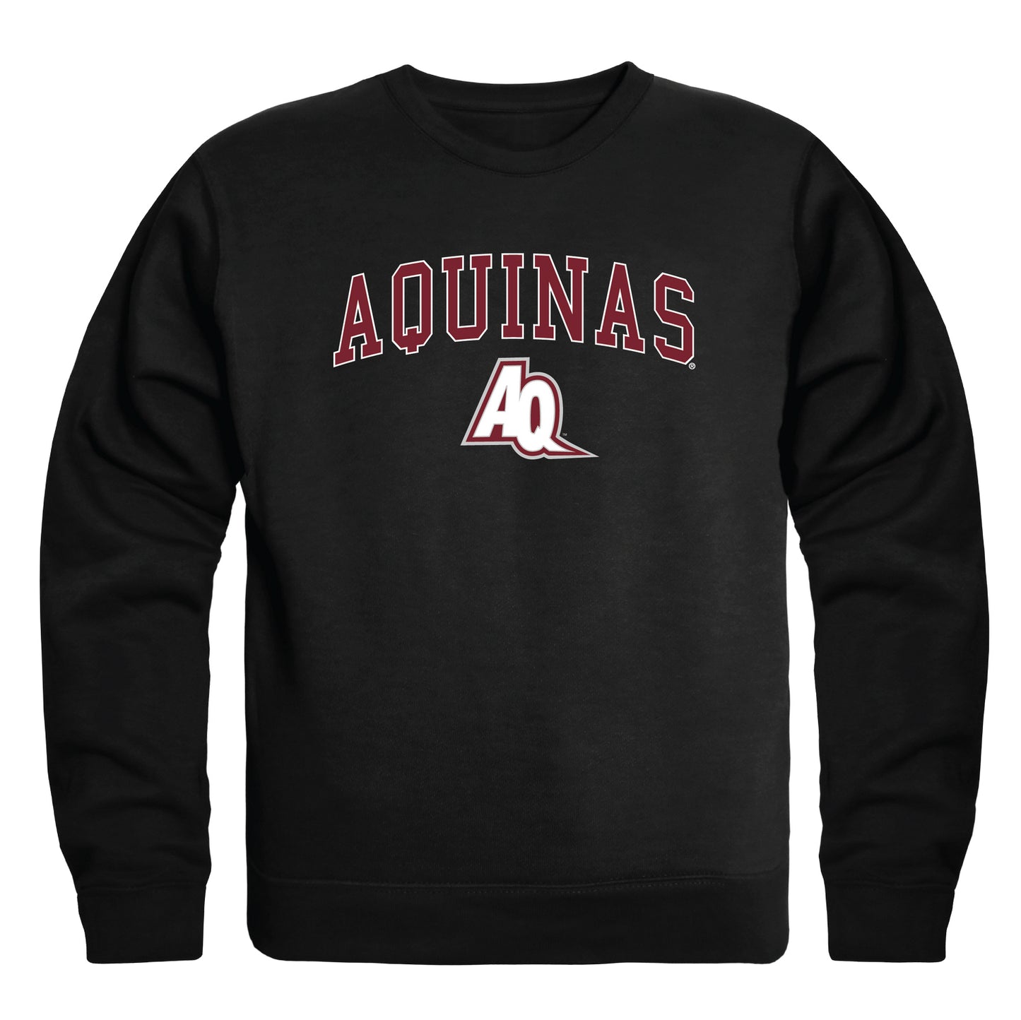 Aquinas Saints Campus Crewneck Pullover Sweatshirt Sweater