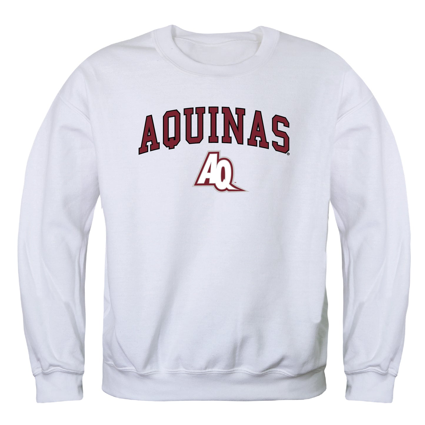 Aquinas Saints Campus Crewneck Pullover Sweatshirt Sweater