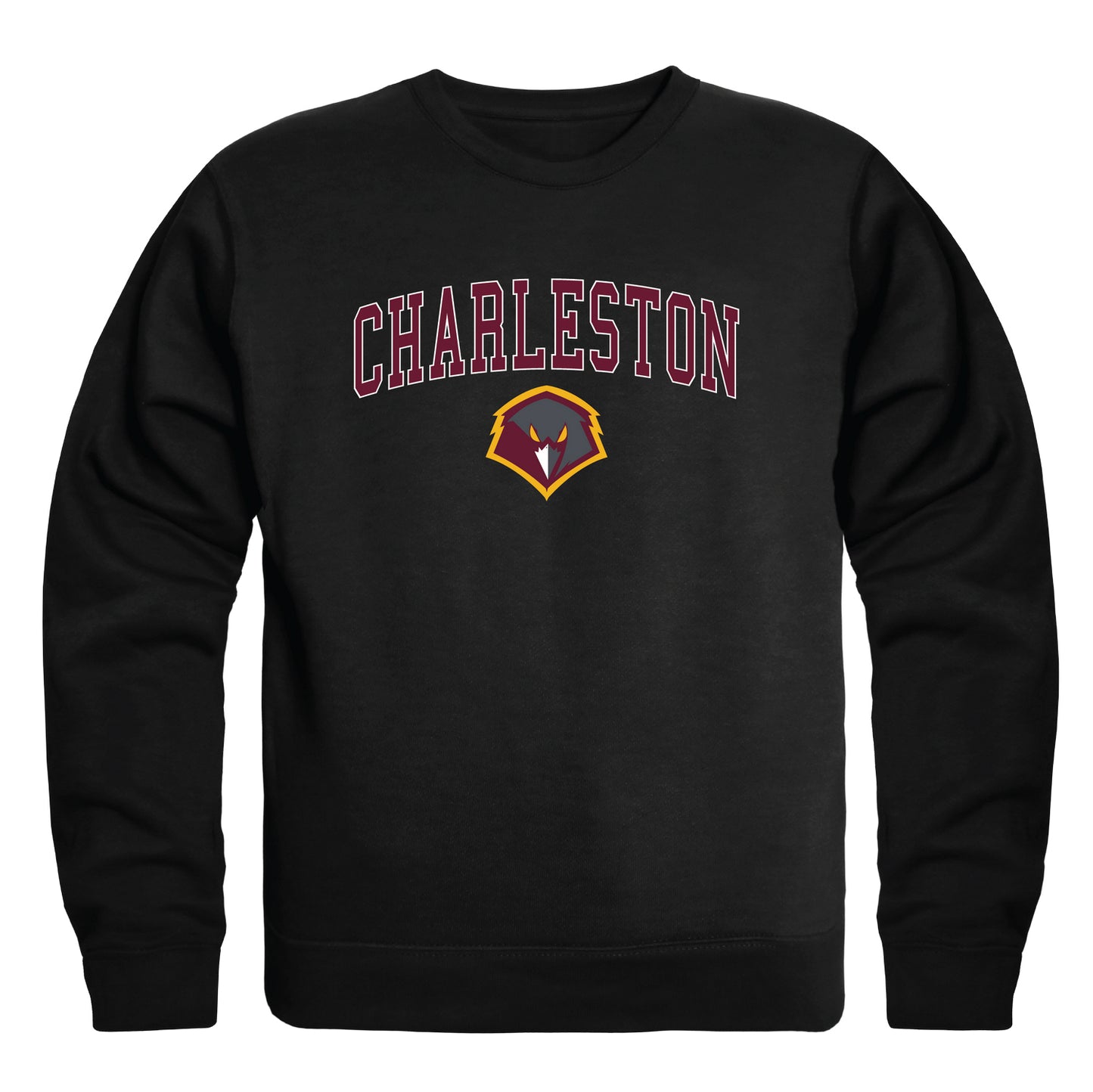 University of Charleston Golden Eagles Campus Crewneck Pullover Sweatshirt Sweater