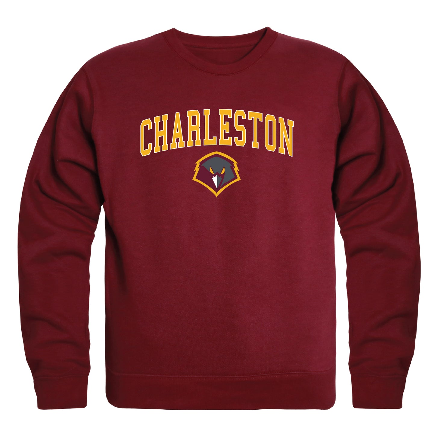 University of Charleston Golden Eagles Campus Crewneck Pullover Sweatshirt Sweater