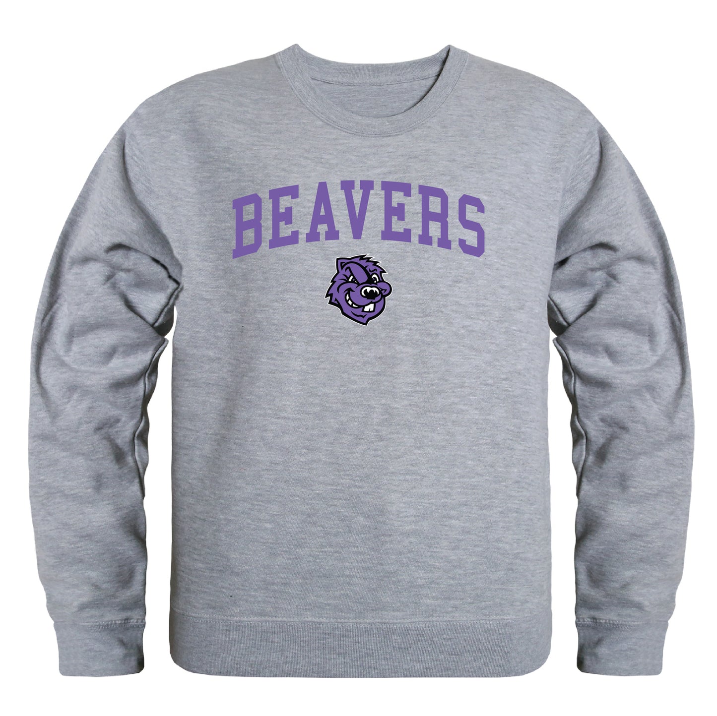 CCNY Beavers Campus Crewneck Pullover Sweatshirt Sweater