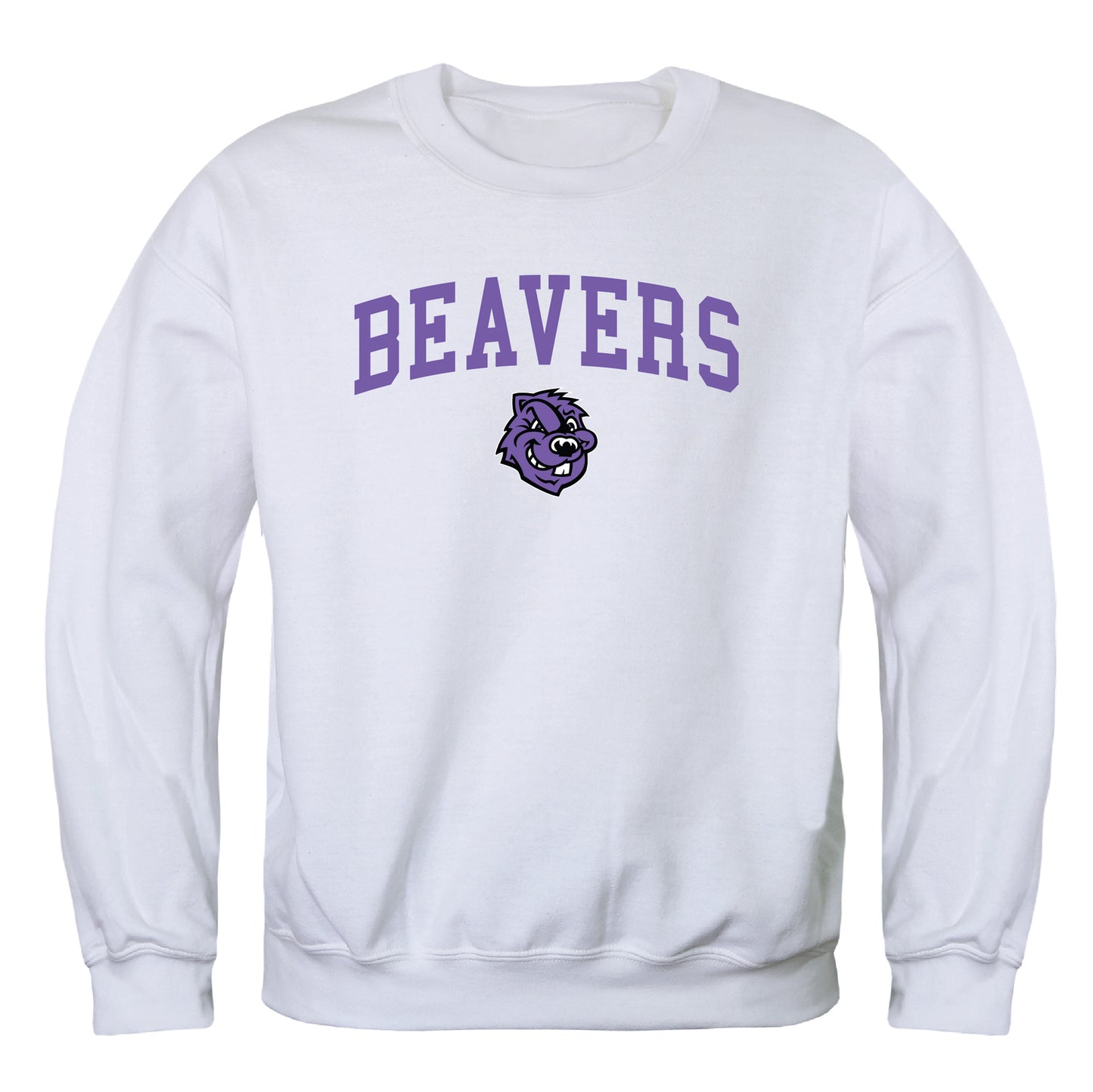 CCNY Beavers Campus Crewneck Pullover Sweatshirt Sweater