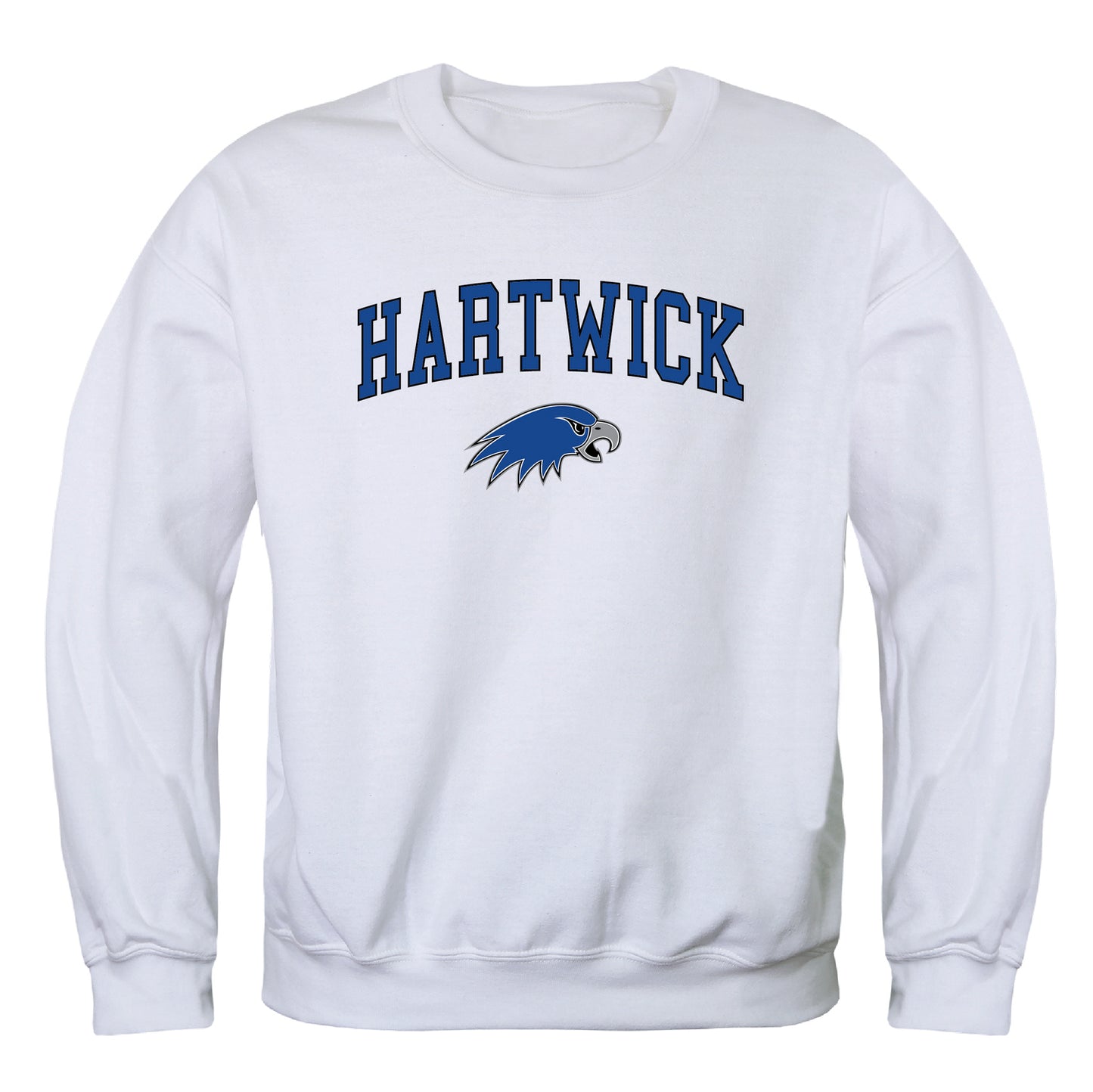 Hartwick College Hawks Campus Crewneck Pullover Sweatshirt Sweate