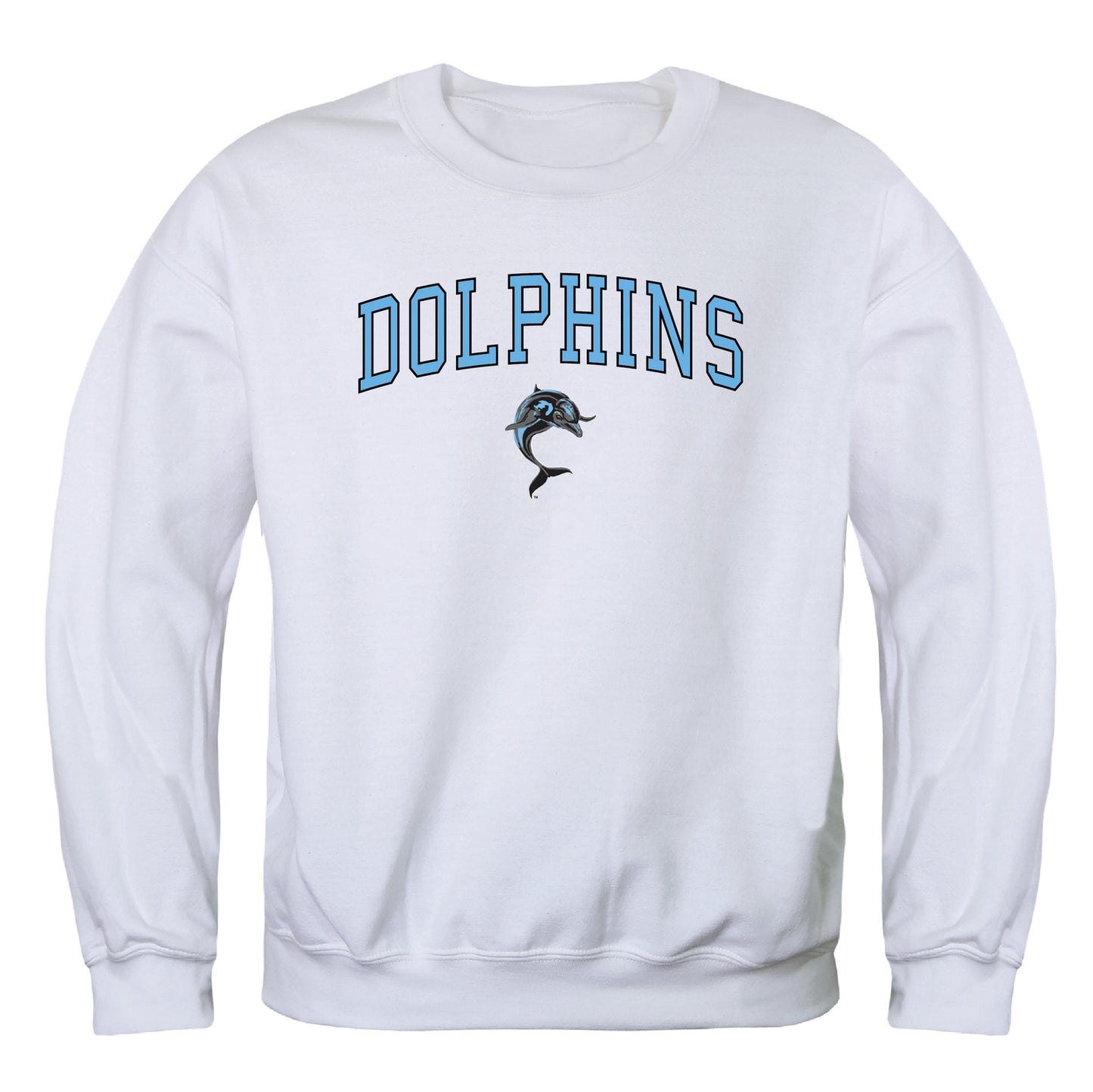 College of Staten Island Dolphins Campus Crewneck Pullover Sweatshirt Sweate