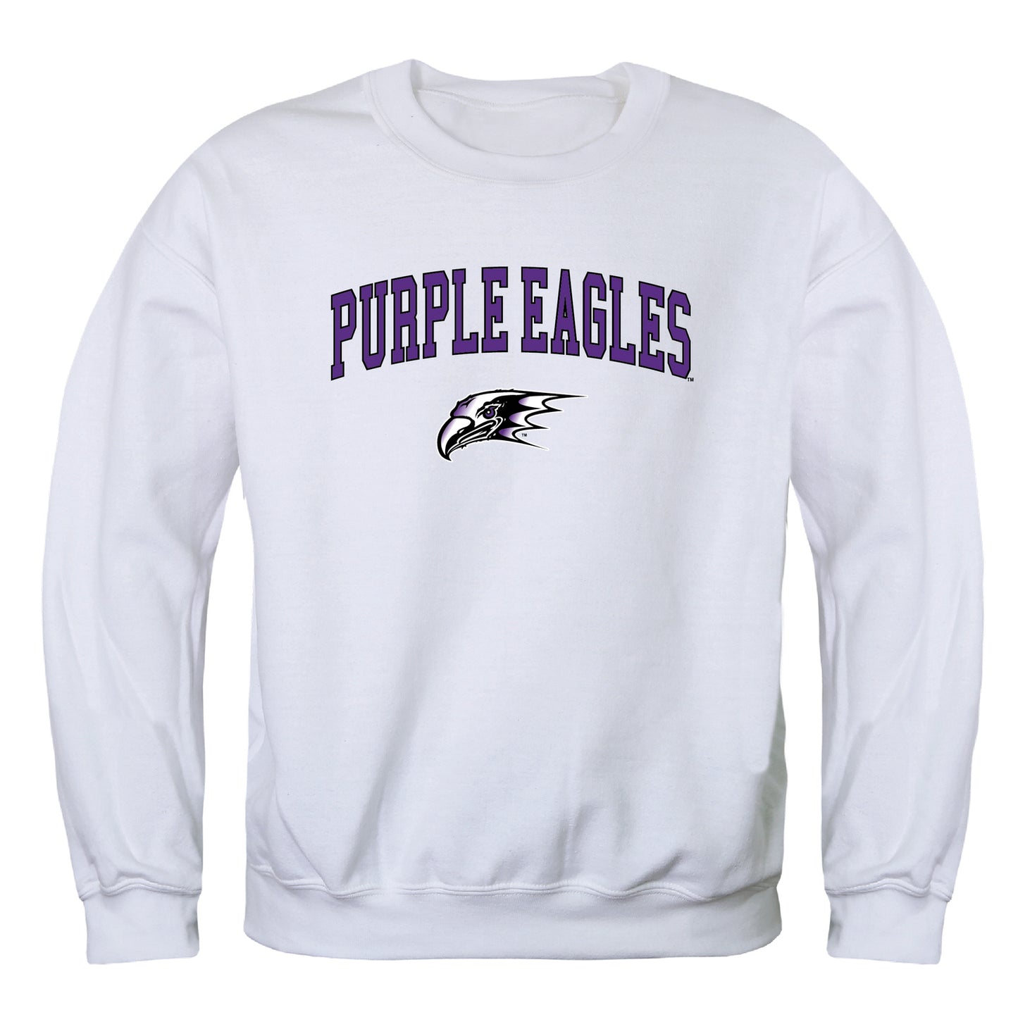 Niagara University Purple Eagles Campus Crewneck Pullover Sweatshirt Sweate