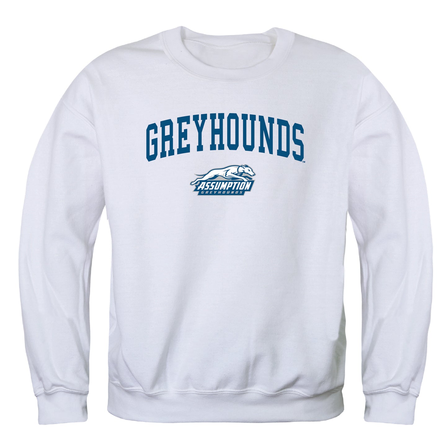 Assumption University Greyhounds Campus Crewneck Pullover Sweatshirt Sweate