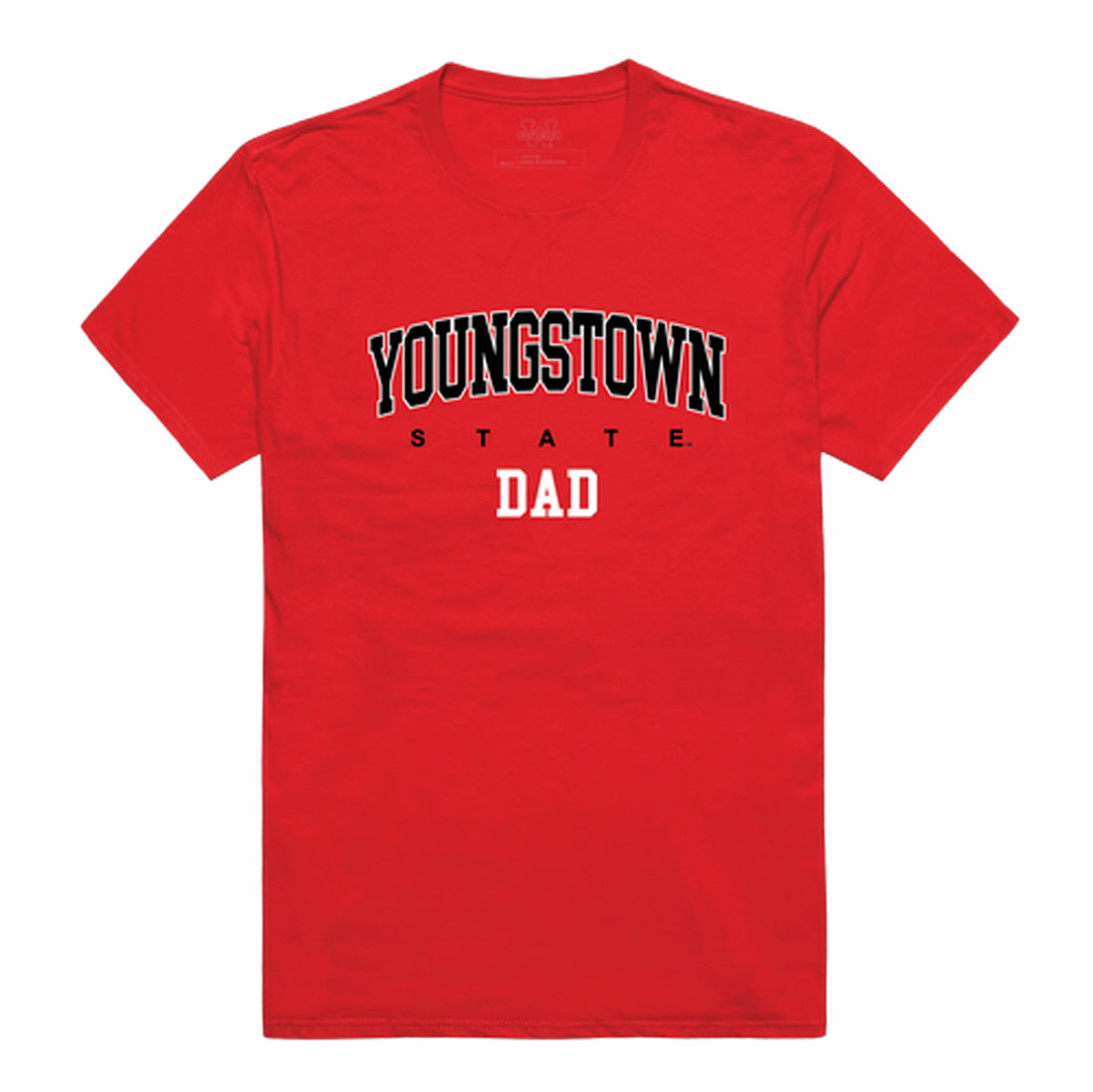 Youngstown State University Penguins Dad Tee T-Shirt - Heather Grey, Small