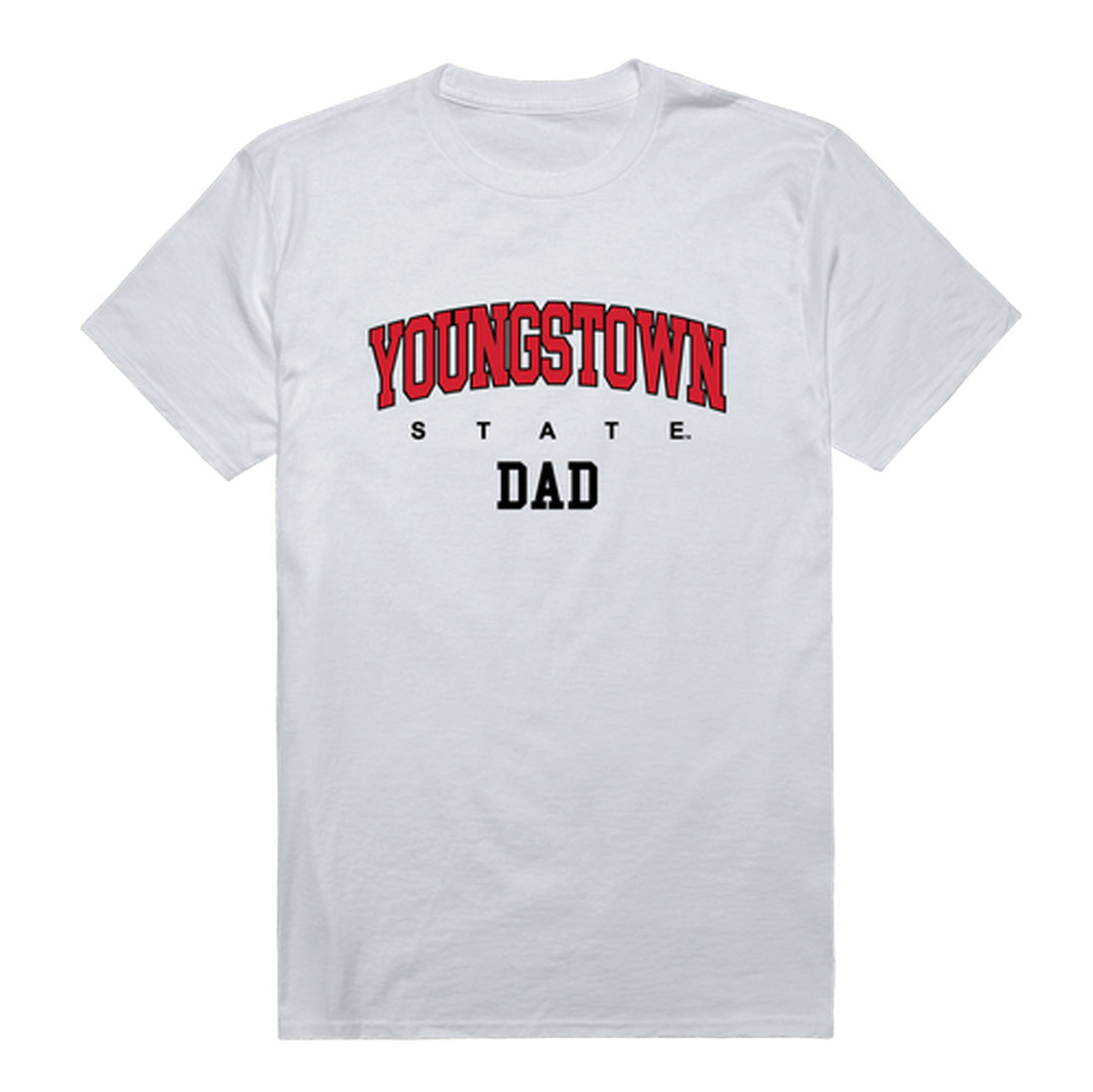 Youngstown State University Penguins Dad Tee T-Shirt - Heather Grey, Small