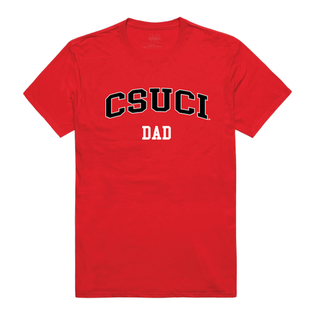 CSUCI California State University Channel Islands The Dolphins Dad Tee T-Shirt - Heather Grey, Small