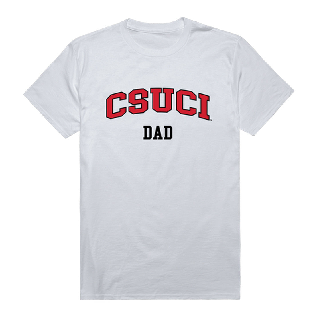 CSUCI California State University Channel Islands The Dolphins Dad Tee T-Shirt - Heather Grey, Small